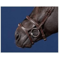 Double Noseband, US Collection -Equestrian Supplies Shop 0176872 processed 1280x1280