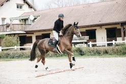 Kentucky Horsewear Fly Bonnet Wellington 9 Kentucky Horsewear Fly Bonnet Wellington -Equestrian Supplies Shop 10042019 485A9555g76ENRjL3nsP9 1280x1280