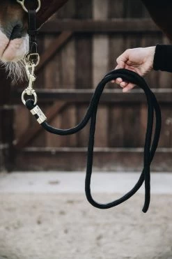 Kentucky Horsewear Lead Rope Basic 7 Kentucky Horsewear Lead Rope Basic -Equestrian Supplies Shop 12042019 485A9952gAAHRrV7NpwEO 1280x1280