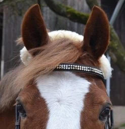 Collection Inlay Golden Wave 5 Collection Inlay Golden Wave -Equestrian Supplies Shop 12822695 1085907311451087 1500540897 o 1280x1280