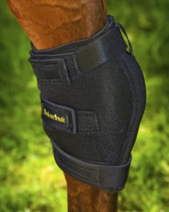 Back On Track Ankle Protector -Equestrian Supplies Shop 2015 2016 Hock Boot WEB 4 1280x1280