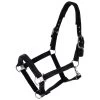Covalliero Halter FW23 1 Covalliero Halter FW23 -Equestrian Supplies Shop 204155 Hauptbild 3227061 processed 1280x1280