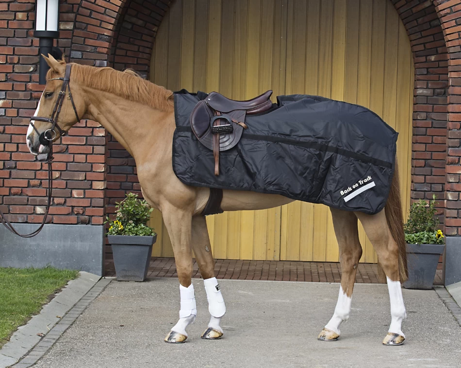 Back On Track Quater Rug Haze 4 Back On Track Quater Rug Haze - Image 2