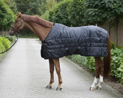 Back On Track Stable Rug Rime Mia 160gr -Equestrian Supplies Shop 2159 Mia Rime Rug WEB 1 1280x1280