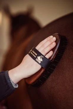 Body Brush Parcour -Equestrian Supplies Shop 217 C LeonieLorenz 6542SFQU1x47Z40pk 1280x1280