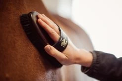 Body Brush Parcour -Equestrian Supplies Shop 217 C LeonieLorenz 65478kgM70cKKoXEk 1280x1280