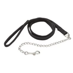 Leadchain With Carabiner
