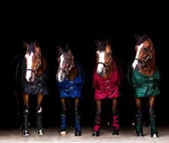 Back On Track Stable Gaiters Royal -Equestrian Supplies Shop 4 bay mares 12r5l2Hxv3OfFtG 1280x1280