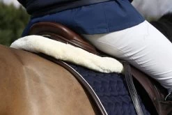 Kentucky Horsewear Saddle Pad -Equestrian Supplies Shop 42506 D 1280x1280