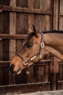 Kentucky Horsewear Leather Rope Halter -Equestrian Supplies Shop 42540 05 3 1280x1280