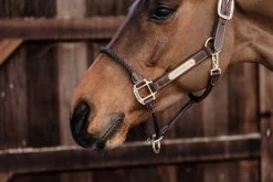 Kentucky Horsewear Leather Rope Halter -Equestrian Supplies Shop 42540 05 4 1280x1280