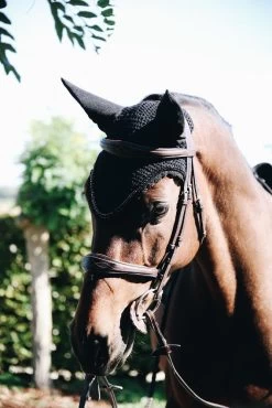 Kentucky Horsewear Fly Bonnet Long Stone & Pearl Soundless 7 Kentucky Horsewear Fly Bonnet Long Stone & Pearl Soundless -Equestrian Supplies Shop 42616 42617vCoyvoKXIIi0XQ7kCb0iW05Aql 1280x1280