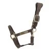 Kentucky Horsewear Anatomical Suede Halter -Equestrian Supplies Shop 42713 05j8ZmI5RIr8gtuvQBs1kvDqVAUI 1280x1280