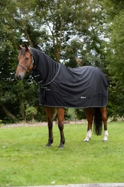 Shamrock Power Full Neck -Equestrian Supplies Shop 646 Shamrock Power Full Neck Black 3255f5kjOOlFgBfuh 1280x1280