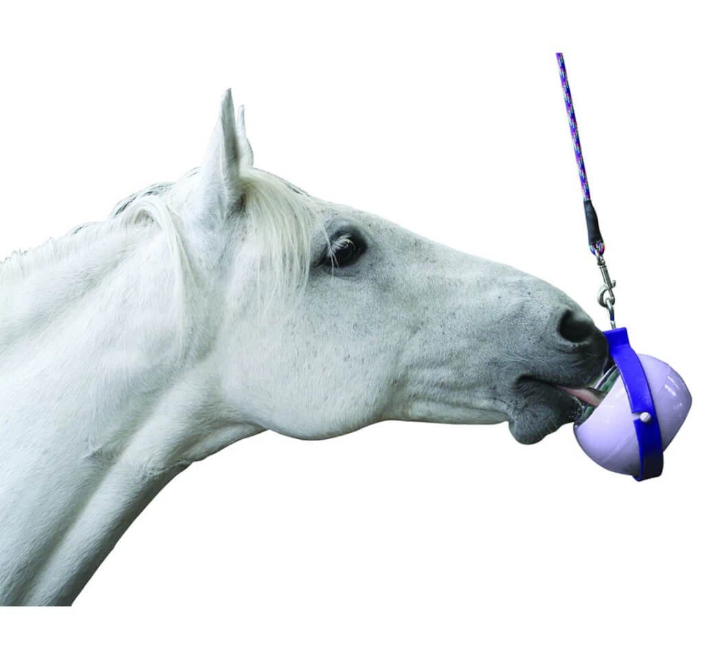 Likit Boredom Buster 5 Likit Boredom Buster - Image 3