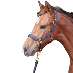 Covalliero Halter Top Line, Nylon Halter, Foal Halter