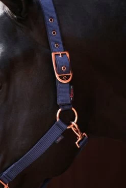 Covalliero Halter Classy, Nylon Halter