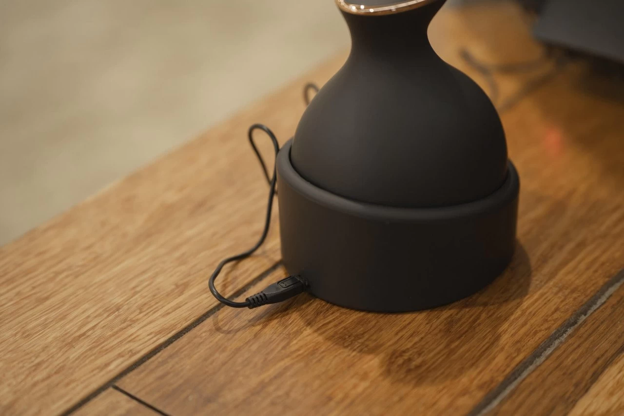 Grooming & Relaxation Brush IRHVolta 7 Grooming & Relaxation Brush IRHVolta - Image 5