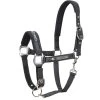 Nylon Halter Timmy -Equestrian Supplies Shop E00123 Timmy 006 OK 1280x1280