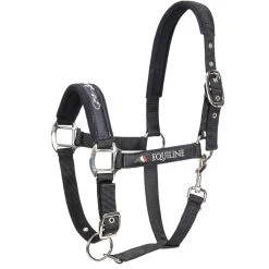 Nylon Halter Timmy
