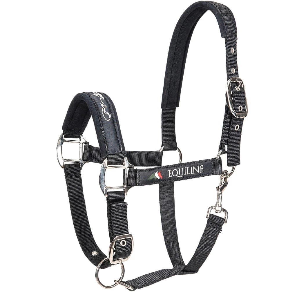 Nylon Halter Timmy 3 Nylon Halter Timmy