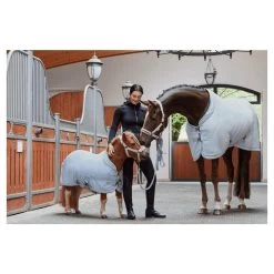 Halter Double Pin Plait Platinum 2023 -Equestrian Supplies Shop ESK 00 4 processed 1280x1280