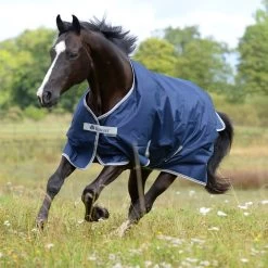 Freedom Turnout Extra, 300 G 11 Freedom Turnout Extra, 300 G -Equestrian Supplies Shop Freedom TurnoutB2fQKEIVOIqQC 1280x1280