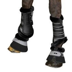 Hoof Bells HVPFrancis FW23