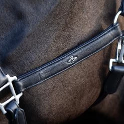 Halter HVPLeather Soft, Leather Halter -Equestrian Supplies Shop HV Polo halfter HVPLeather soft black 3 1280x1280