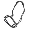 Halter HVPLegacy, Leather Halter -Equestrian Supplies Shop HV Polo halfter HVPLegacy black 1 1280x1280
