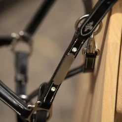 Halter HVPLegacy, Leather Halter -Equestrian Supplies Shop HV Polo halfter HVPLegacy black 3 1280x1280