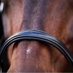 Halter HVPLegacy, Leather Halter -Equestrian Supplies Shop HV Polo halfter HVPLegacy black 5 1280x1280