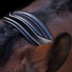 Halter HVPLegacy, Leather Halter -Equestrian Supplies Shop HV Polo halfter HVPLegacy black 6 1280x1280