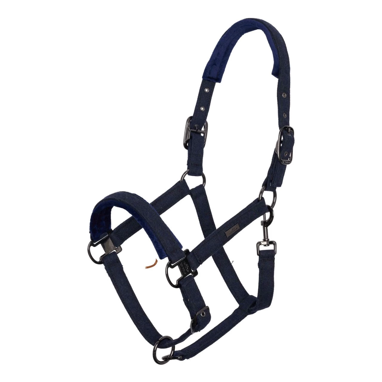 Halter HVPFrancis FW23, Nylon Halter 3 Halter HVPFrancis FW23, Nylon Halter