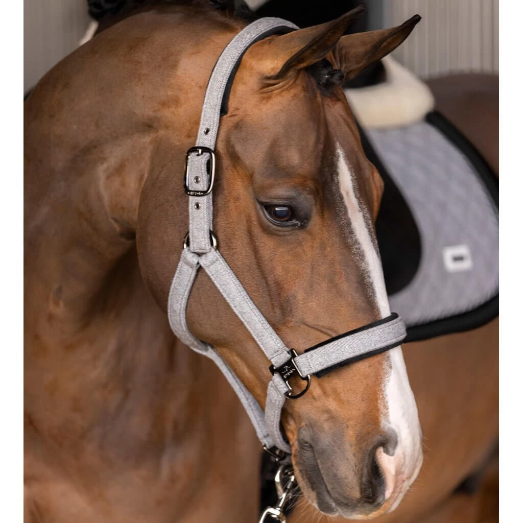 Halter HVPFrancis FW22, Nylon Halter 4 Halter HVPFrancis FW22, Nylon Halter - Image 2