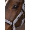 Halter HVPFrancis FW22, Nylon Halter 2 Halter HVPFrancis FW22, Nylon Halter -Equestrian Supplies Shop HV Polo HW22 Halfter HVPFrancis Grey 1280x1280
