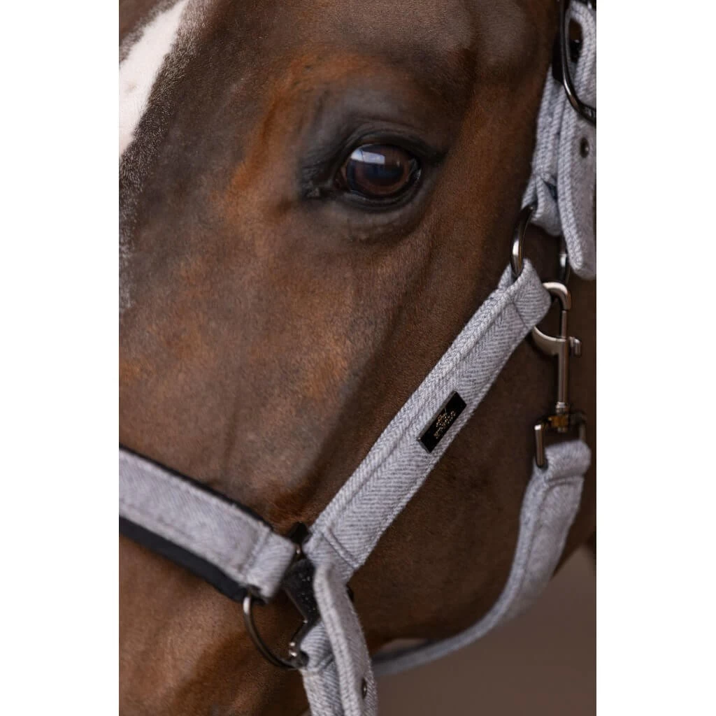 Halter HVPFrancis FW22, Nylon Halter 3 Halter HVPFrancis FW22, Nylon Halter