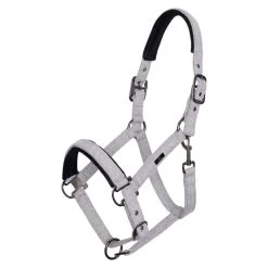 Halter HVPFrancis FW22, Nylon Halter 8 Halter HVPFrancis FW22, Nylon Halter -Equestrian Supplies Shop HV Polo HW22 Halfter HVPFrancis grey 1280x1280