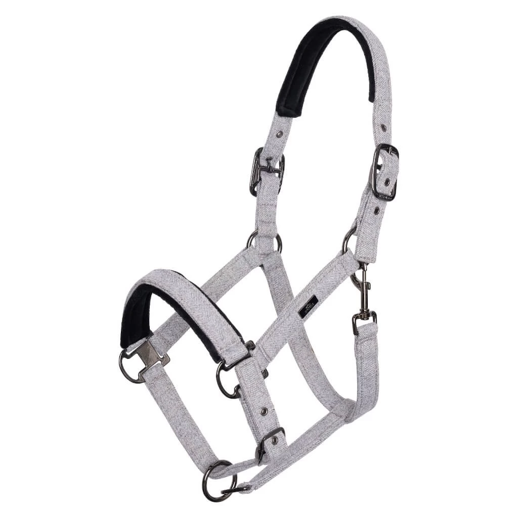 Halter HVPFrancis FW22, Nylon Halter 5 Halter HVPFrancis FW22, Nylon Halter - Image 3