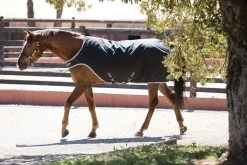 Walker Rug Amigo Walker, 200 G