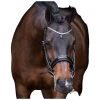 Double Bridle IRHOlympia, Swedish Combined, Without Reins -Equestrian Supplies Shop Imperial Riding kandarenzaum IRHOlympia silver 1280x1280