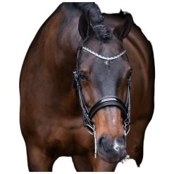 Double Bridle IRHOlympia, Swedish Combined, Without Reins