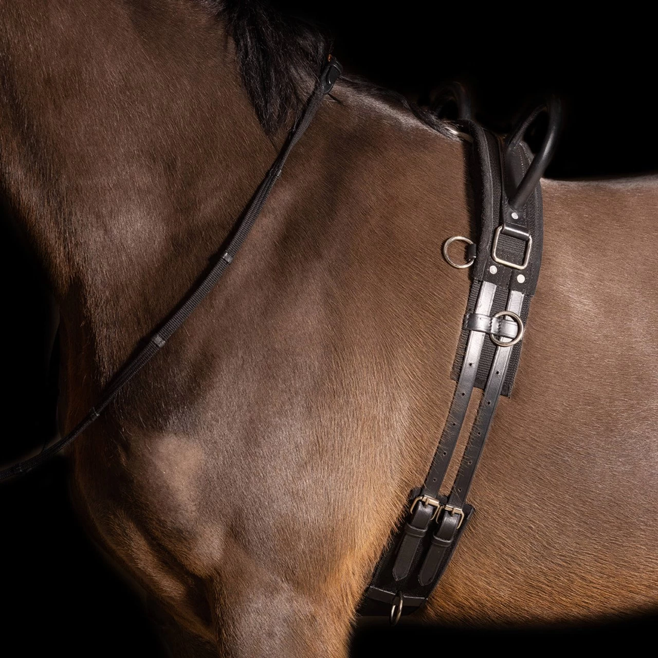 Lunge Girth IRHVidal, With 2 Handles 4 Lunge Girth IRHVidal, With 2 Handles - Image 2