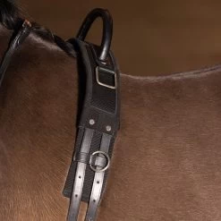 Lunge Girth IRHVito, With Handle 7 Lunge Girth IRHVito, With Handle -Equestrian Supplies Shop Imperial Riding voltigiergurt IRHVito mit Griff black 3 1280x1280