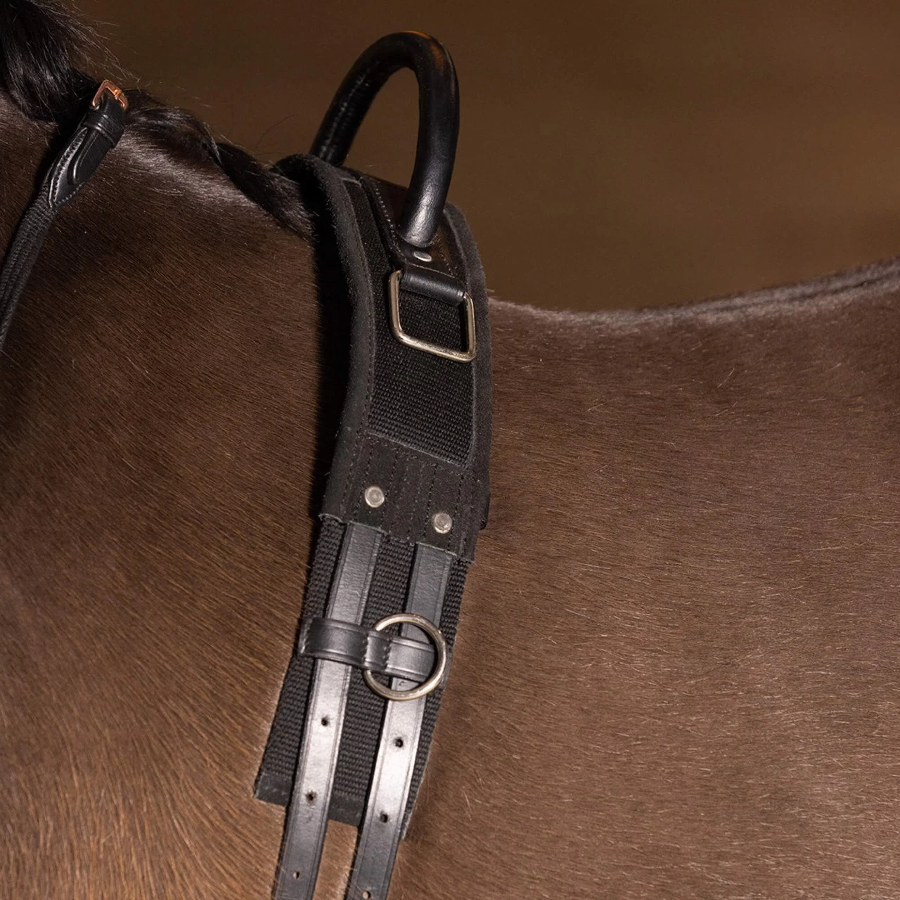 Lunge Girth IRHVito, With Handle 5 Lunge Girth IRHVito, With Handle - Image 3