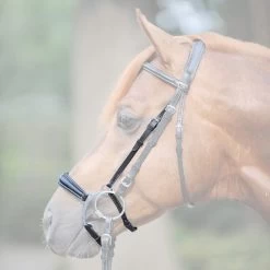 Bow Noseband