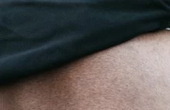 Kentucky Horsewear Riding Rug Reflective -Equestrian Supplies Shop Kentucky Horseware Ausreitdecke reflektierend 5 1280x1280