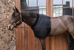Kentucky Horsewear Chest Protection -Equestrian Supplies Shop Kentucky Horsewear brustschutz black 10 1280x1280