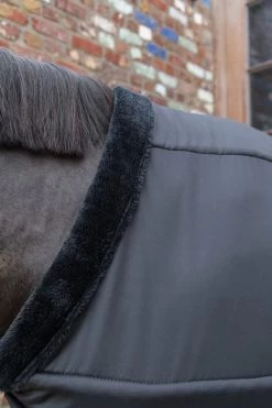 Kentucky Horsewear Chest Protection -Equestrian Supplies Shop Kentucky Horsewear brustschutz black 3 1280x1280