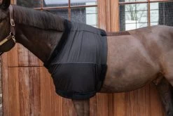 Kentucky Horsewear Chest Protection -Equestrian Supplies Shop Kentucky Horsewear brustschutz black 8 1280x1280